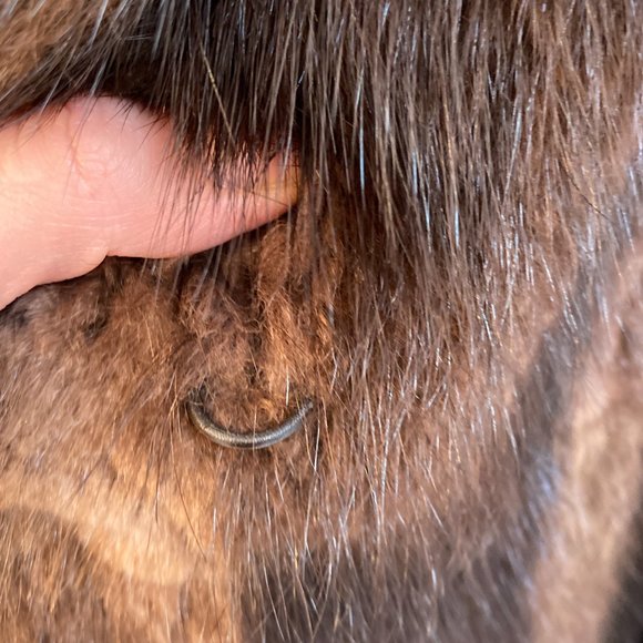 Harry's Furs Toronto - Real Fur Coat Beautiful Condition Size M - Picture 9 of 12